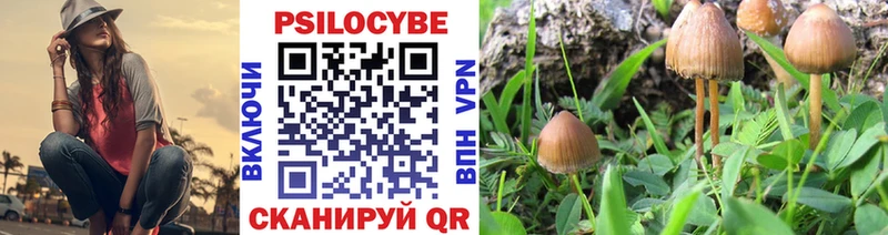 Псилоцибиновые грибы Psilocybine cubensis  Купить  Верхотурье 